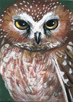 "Screech Owl" by Cindy Markowski, Wausau WI - Acrylic - SOLD